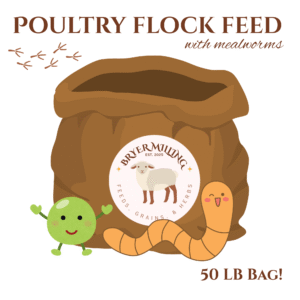Poultry All Flock Feed (w/ Mealworms) 50LB Bag