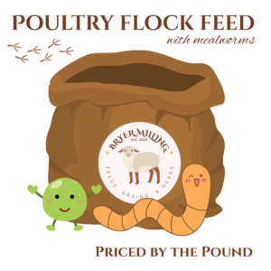 Poultry All Flock Feed (w/ Mealworms) (per pound)