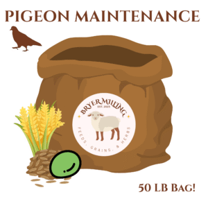 Pigeon Maintenance Feed 50LB Bag