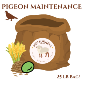 Pigeon Maintenance Feed 25LB Bag