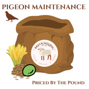 Pigeon Maintenance Feed (per pound)