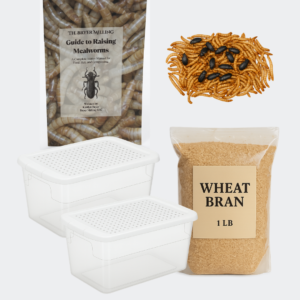 Mealworm Farm Starter Kit (with paperback instructional book)