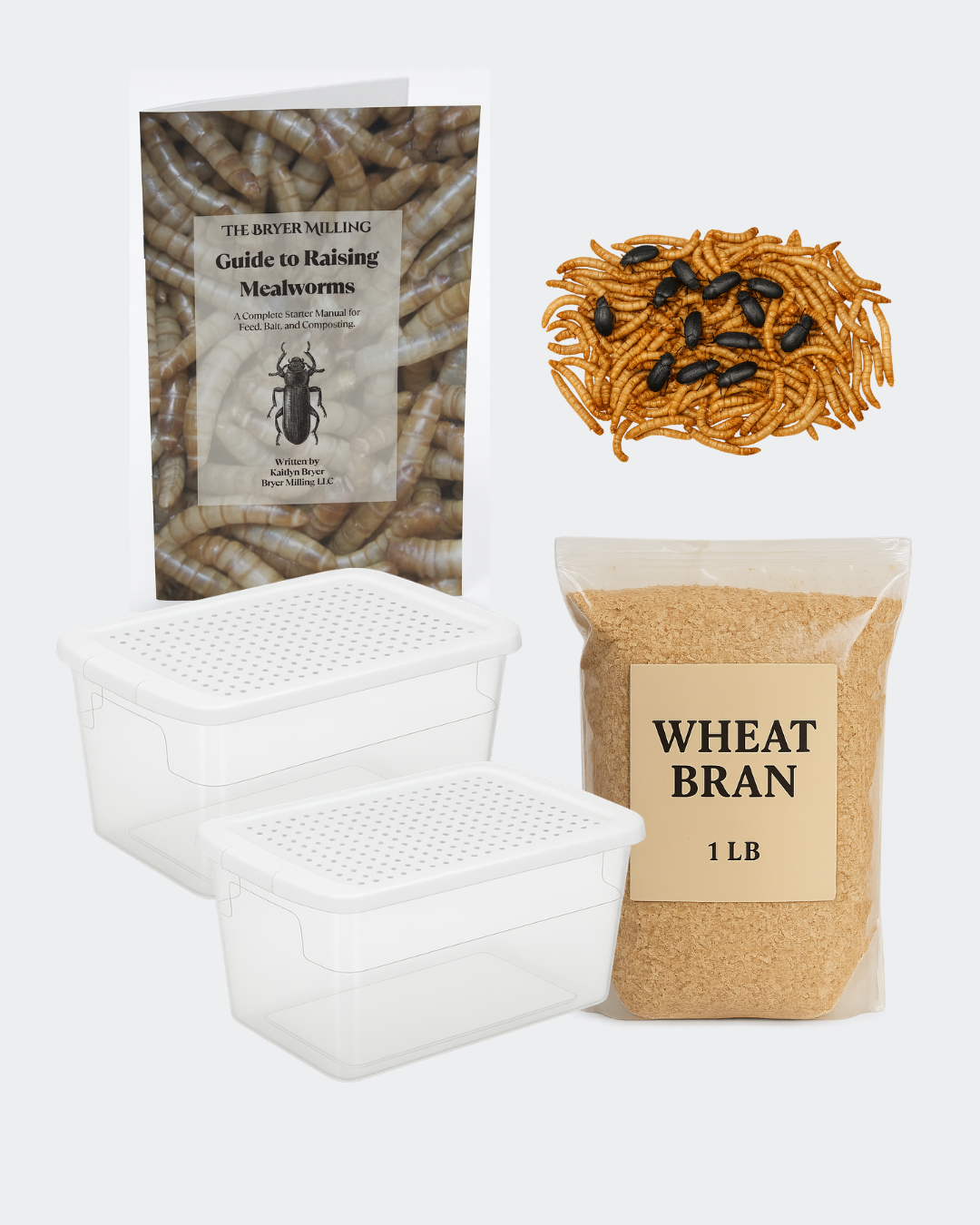 Mealworm Farm Starter Kit (with paperback instructional book)