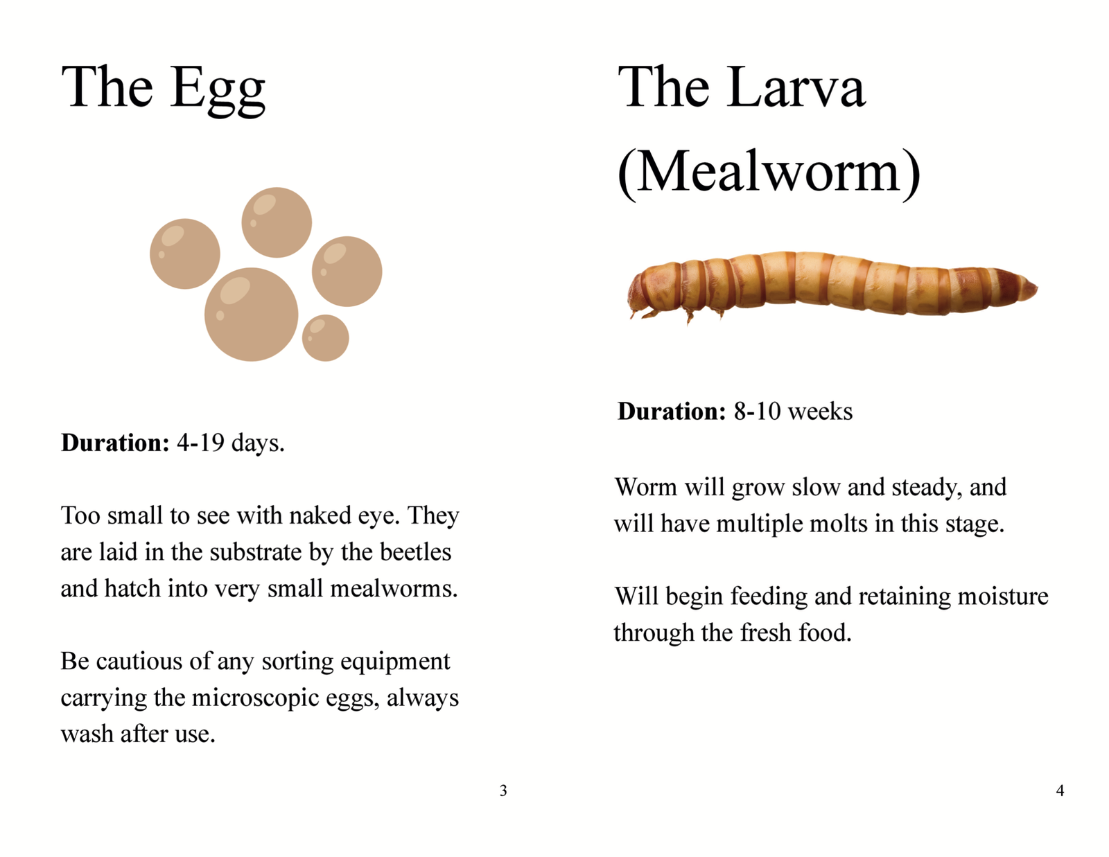 Mealworm Farm Starter Kit (with paperback instructional book) - Image 4