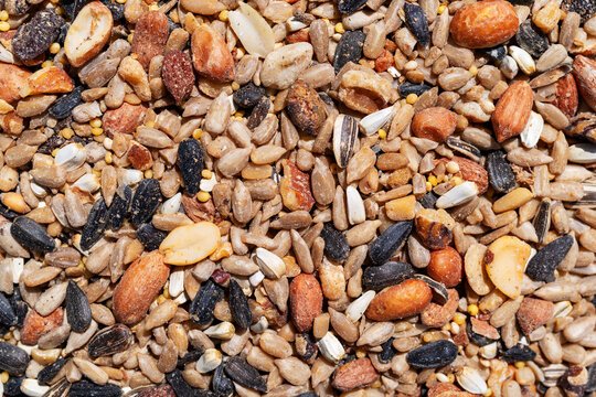 Why Freshness Matters in Livestock Feed (And Why Small-Batch Milling Makes a Difference)