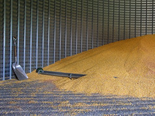 Stored livestock feed showing grain texture and fine particle separation over time.