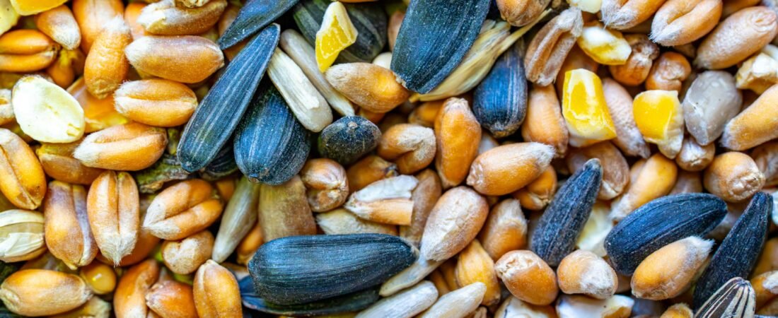 Introducing the Founding Flock Sample Program